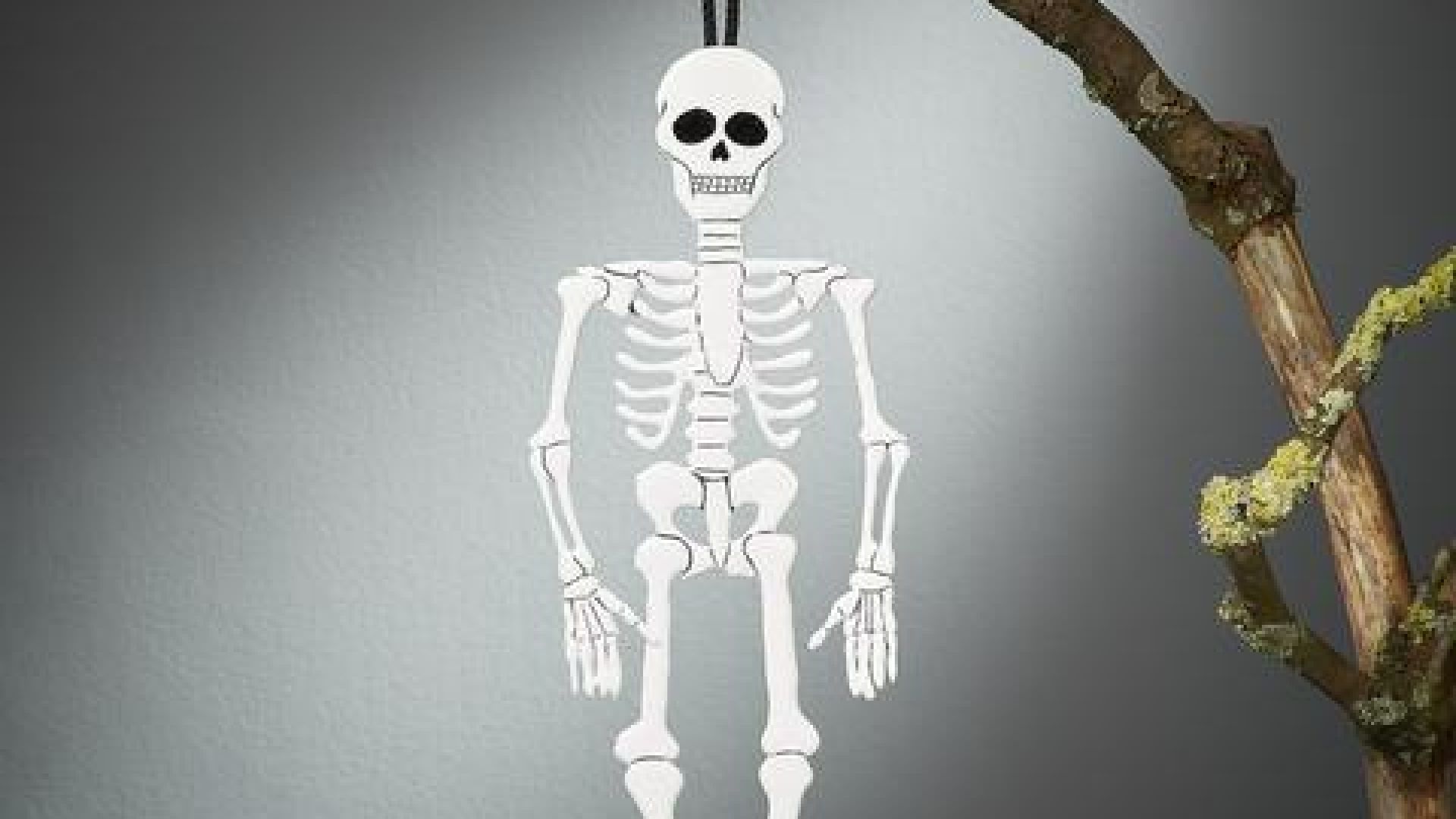 Hanging hot melt skeleton